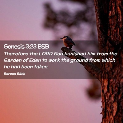 Picture 02 - Genesis 3:23 BSB - Therefore the LORD God banished him from the - Bible Verse Picture