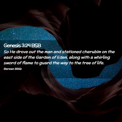 Picture 02 - Genesis 3:24 BSB - So He drove out the man and stationed cherubim on - Bible Verse Picture