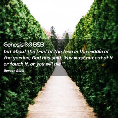 Picture 02 - Genesis 3:3 BSB - but about the fruit of the tree in the middle of - Bible Verse Picture