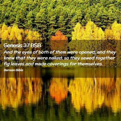 Picture 02 - Genesis 3:7 BSB - And the eyes of both of them were opened, and - Bible Verse Picture