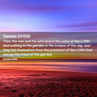 Picture 02 - Genesis 3:8 BSB - Then the man and his wife heard the voice of the - Bible Verse Picture