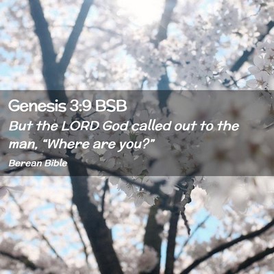 Picture 02 - Genesis 3:9 BSB - But the LORD God called out to the man, “Where - Bible Verse Picture