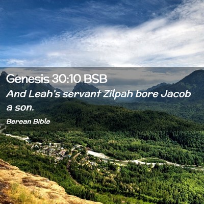 Picture 02 - Genesis 30:10 BSB - And Leah’s servant Zilpah bore Jacob a - Bible Verse Picture