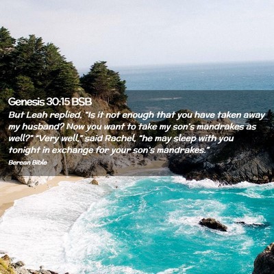 Picture 02 - Genesis 30:15 BSB - But Leah replied, “Is it not enough that you - Bible Verse Picture