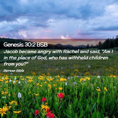 Picture 02 - Genesis 30:2 BSB - Jacob became angry with Rachel and said, “Am I - Bible Verse Picture