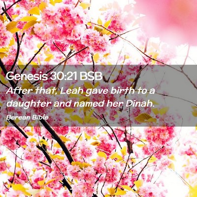 Picture 02 - Genesis 30:21 BSB - After that, Leah gave birth to a daughter and - Bible Verse Picture
