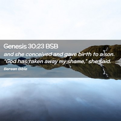 Picture 02 - Genesis 30:23 BSB - and she conceived and gave birth to a son. “God - Bible Verse Picture