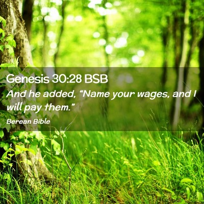 Picture 02 - Genesis 30:28 BSB - And he added, “Name your wages, and I will pay - Bible Verse Picture