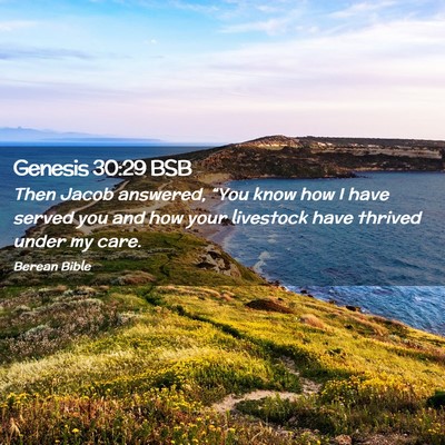 Picture 02 - Genesis 30:29 BSB - Then Jacob answered, “You know how I have - Bible Verse Picture