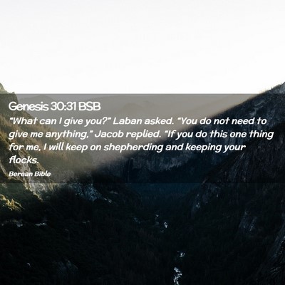 Picture 02 - Genesis 30:31 BSB - “What can I give you?” Laban asked. “You do - Bible Verse Picture