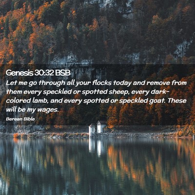 Picture 02 - Genesis 30:32 BSB - Let me go through all your flocks today and - Bible Verse Picture
