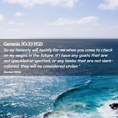 Picture 02 - Genesis 30:33 BSB - So my honesty will testify for me when you come - Bible Verse Picture