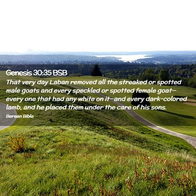Picture 02 - Genesis 30:35 BSB - That very day Laban removed all the streaked or - Bible Verse Picture