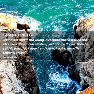 Picture 02 - Genesis 30:40 BSB - Jacob set apart the young, but made the rest face - Bible Verse Picture