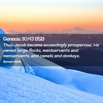 Picture 02 - Genesis 30:43 BSB - Thus Jacob became exceedingly prosperous. He - Bible Verse Picture