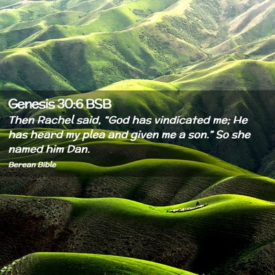 Picture 02 - Genesis 30:6 BSB - Then Rachel said, “God has vindicated me; He - Bible Verse Picture