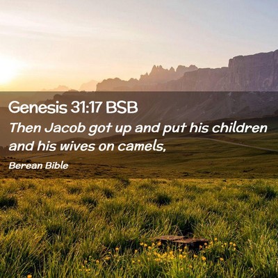 Picture 02 - Genesis 31:17 BSB - Then Jacob got up and put his children and his - Bible Verse Picture