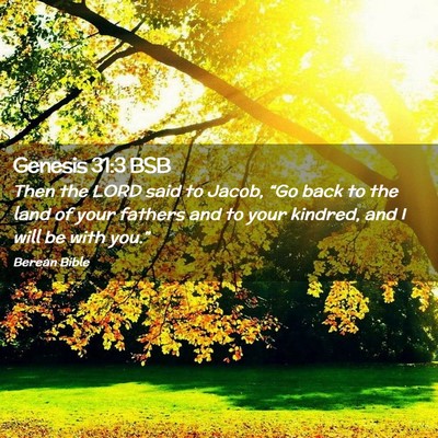 Picture 02 - Genesis 31:3 BSB - Then the LORD said to Jacob, “Go back to the - Bible Verse Picture