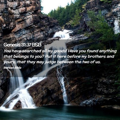 Picture 02 - Genesis 31:37 BSB - You have searched all my goods! Have you found - Bible Verse Picture