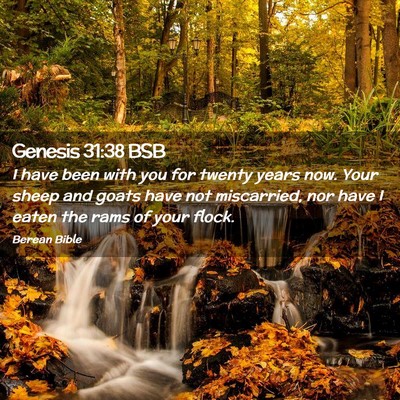 Picture 02 - Genesis 31:38 BSB - I have been with you for twenty years now. Your - Bible Verse Picture