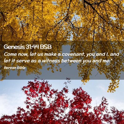Picture 02 - Genesis 31:44 BSB - Come now, let us make a covenant, you and I, and - Bible Verse Picture