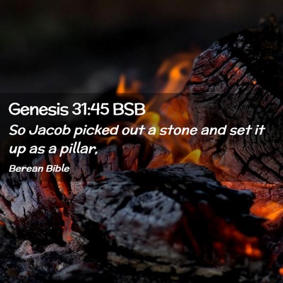 Picture 02 - Genesis 31:45 BSB - So Jacob picked out a stone and set it up as a - Bible Verse Picture