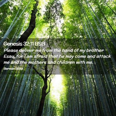 Picture 02 - Genesis 32:11 BSB - Please deliver me from the hand of my brother - Bible Verse Picture