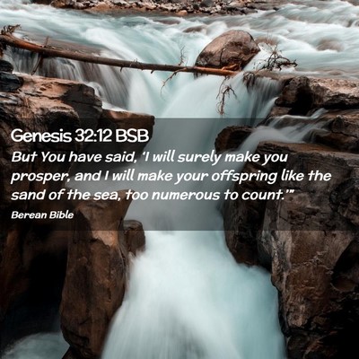 Picture 02 - Genesis 32:12 BSB - But You have said, ‘I will surely make you - Bible Verse Picture