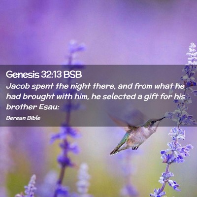 Picture 02 - Genesis 32:13 BSB - Jacob spent the night there, and from what he had - Bible Verse Picture
