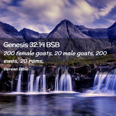 Picture 02 - Genesis 32:14 BSB - 200 female goats, 20 male goats, 200 ewes, 20 - Bible Verse Picture