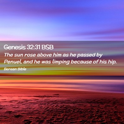 Picture 02 - Genesis 32:31 BSB - The sun rose above him as he passed by Penuel, - Bible Verse Picture