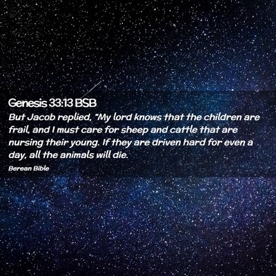 Picture 02 - Genesis 33:13 BSB - But Jacob replied, “My lord knows that the - Bible Verse Picture