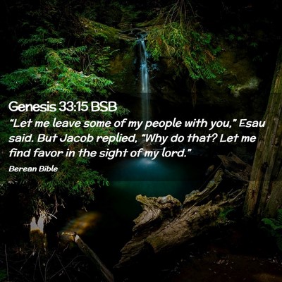 Picture 02 - Genesis 33:15 BSB - “Let me leave some of my people with you,” - Bible Verse Picture