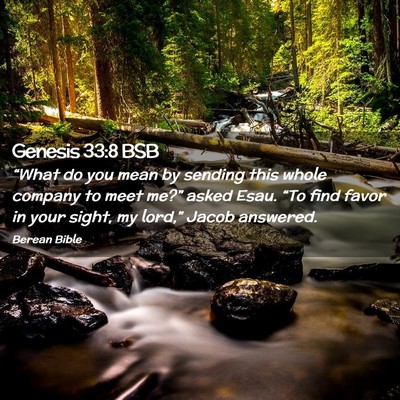 Picture 02 - Genesis 33:8 BSB - “What do you mean by sending this whole company - Bible Verse Picture