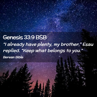 Picture 02 - Genesis 33:9 BSB - “I already have plenty, my brother,” Esau - Bible Verse Picture
