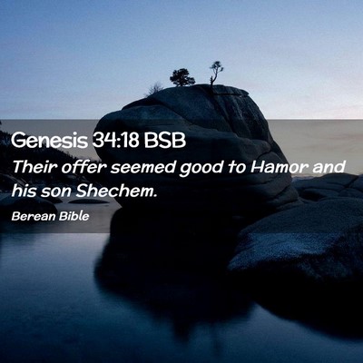 Picture 02 - Genesis 34:18 BSB - Their offer seemed good to Hamor and his son - Bible Verse Picture