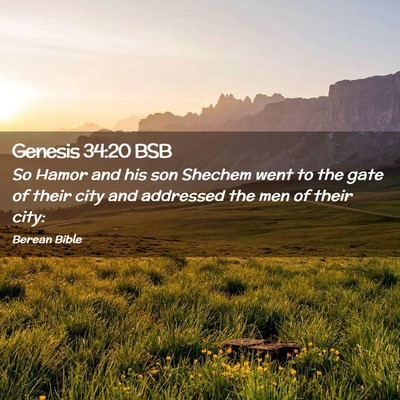 Picture 02 - Genesis 34:20 BSB - So Hamor and his son Shechem went to the gate of - Bible Verse Picture