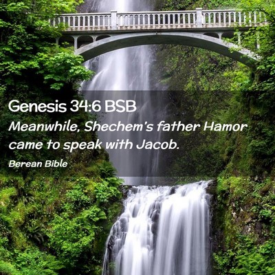 Picture 02 - Genesis 34:6 BSB - Meanwhile, Shechem’s father Hamor came to speak - Bible Verse Picture