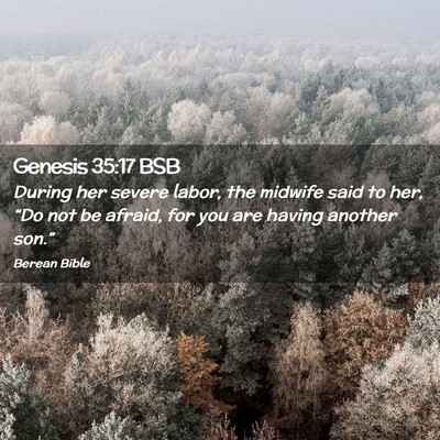 Picture 02 - Genesis 35:17 BSB - During her severe labor, the midwife said to her, - Bible Verse Picture