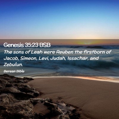 Picture 02 - Genesis 35:23 BSB - The sons of Leah were Reuben the firstborn of - Bible Verse Picture