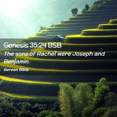 Picture 02 - Genesis 35:24 BSB - The sons of Rachel were Joseph and - Bible Verse Picture