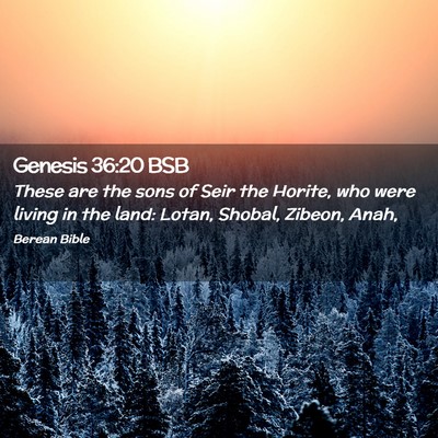Picture 02 - Genesis 36:20 BSB - These are the sons of Seir the Horite, who were - Bible Verse Picture