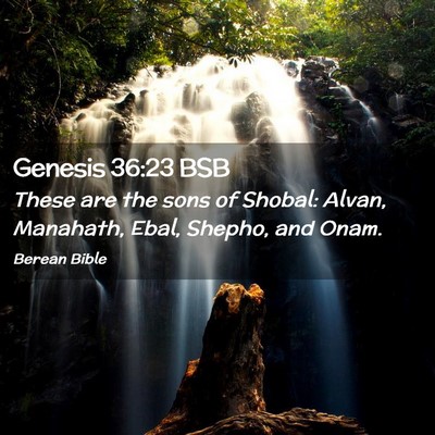 Picture 02 - Genesis 36:23 BSB - These are the sons of Shobal: Alvan, Manahath, - Bible Verse Picture