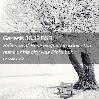 Picture 02 - Genesis 36:32 BSB - Bela son of Beor reigned in Edom; the name of his - Bible Verse Picture