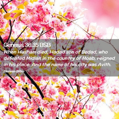 Picture 02 - Genesis 36:35 BSB - When Husham died, Hadad son of Bedad, who - Bible Verse Picture