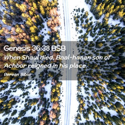 Picture 02 - Genesis 36:38 BSB - When Shaul died, Baal-hanan son of Achbor reigned - Bible Verse Picture