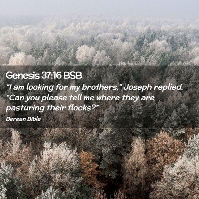 Picture 02 - Genesis 37:16 BSB - “I am looking for my brothers,” Joseph - Bible Verse Picture