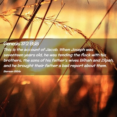 Picture 02 - Genesis 37:2 BSB - This is the account of Jacob. When Joseph was - Bible Verse Picture