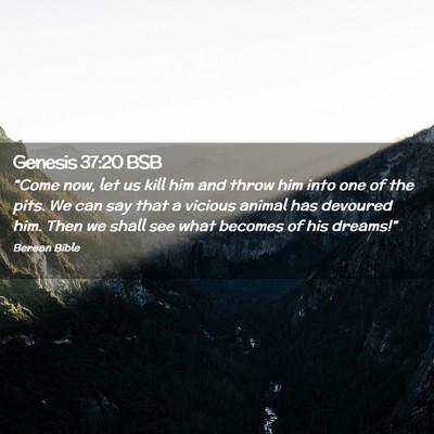 Picture 02 - Genesis 37:20 BSB - “Come now, let us kill him and throw him into - Bible Verse Picture