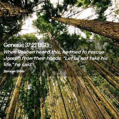 Picture 02 - Genesis 37:21 BSB - When Reuben heard this, he tried to rescue Joseph - Bible Verse Picture